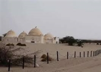 وزارة الأوقاف تدين المجزرة الحوثية بحق المصلين في مسجد بالحديدة