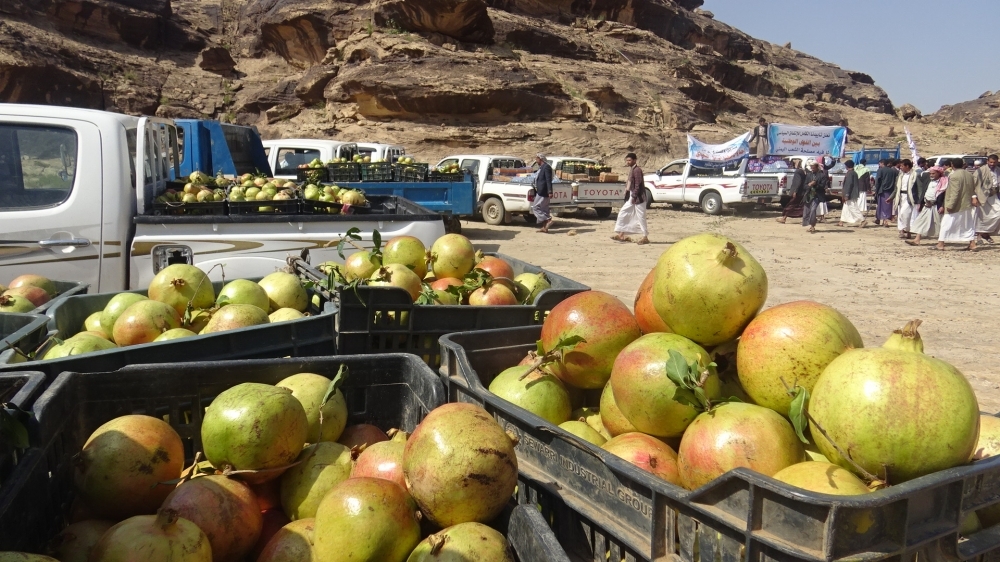 السعودية تحظر استيراد الرمان من اليمن