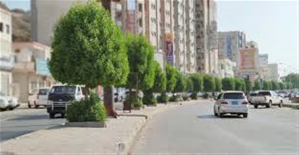 مقتل وإصابة عدد من عمال التشجير بحضرموت