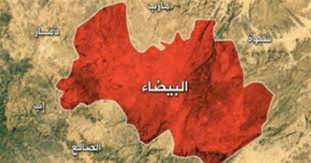 الجيش : قتلى وجرحى حوثيين في كمين بالبيضاء