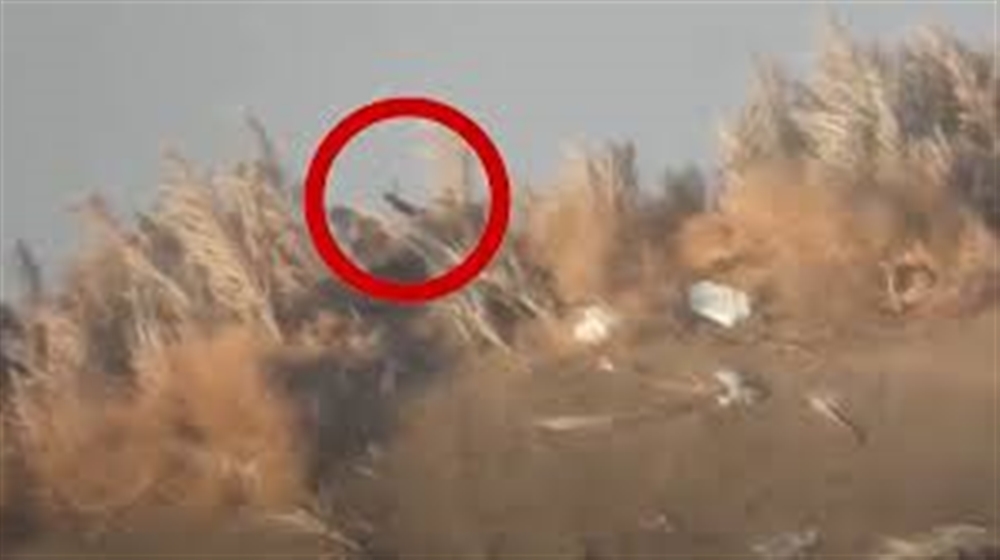 الحديدة.. مصرع وجرح فرقة "قناصة" حوثية