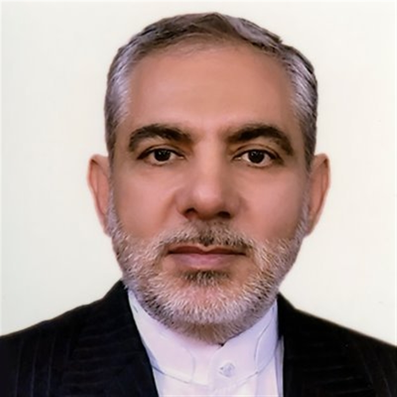 السفير الإيراني لدى مليشيا الحوثي: ثورة "ولاية الفقيه" غزت اليمن بنجاح