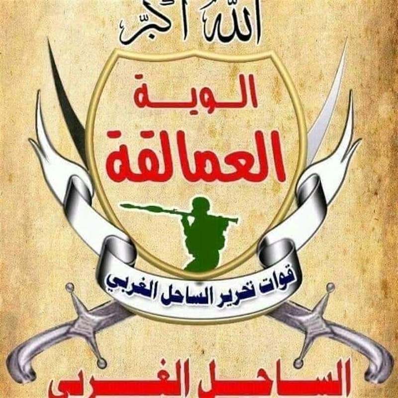 العمالقة تعزز قواتها في باب المندب وذوباب