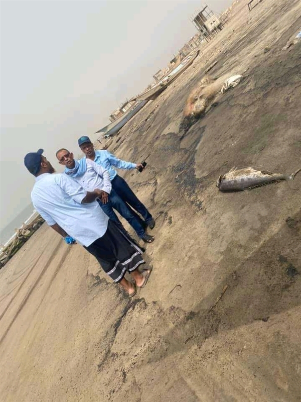 قادة الانتقالي الجنوبي يدعون لوضع حد لشركة ماوراء البحار التابعة لمنافسهم العيسي