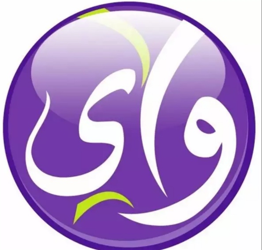 ستوفر خدمات فريدة بتقنيات حديثة... مصدر يكشف عن عودة مرتقبة قوية لشركة "واي" في مناطق الشرعية