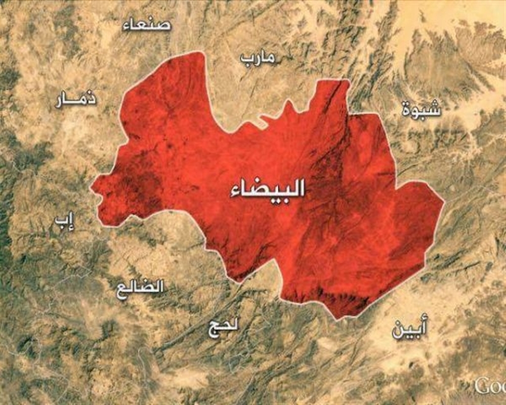 الحوثيون يقتلون مواطنا مسنا في البيضاء.. فيديو