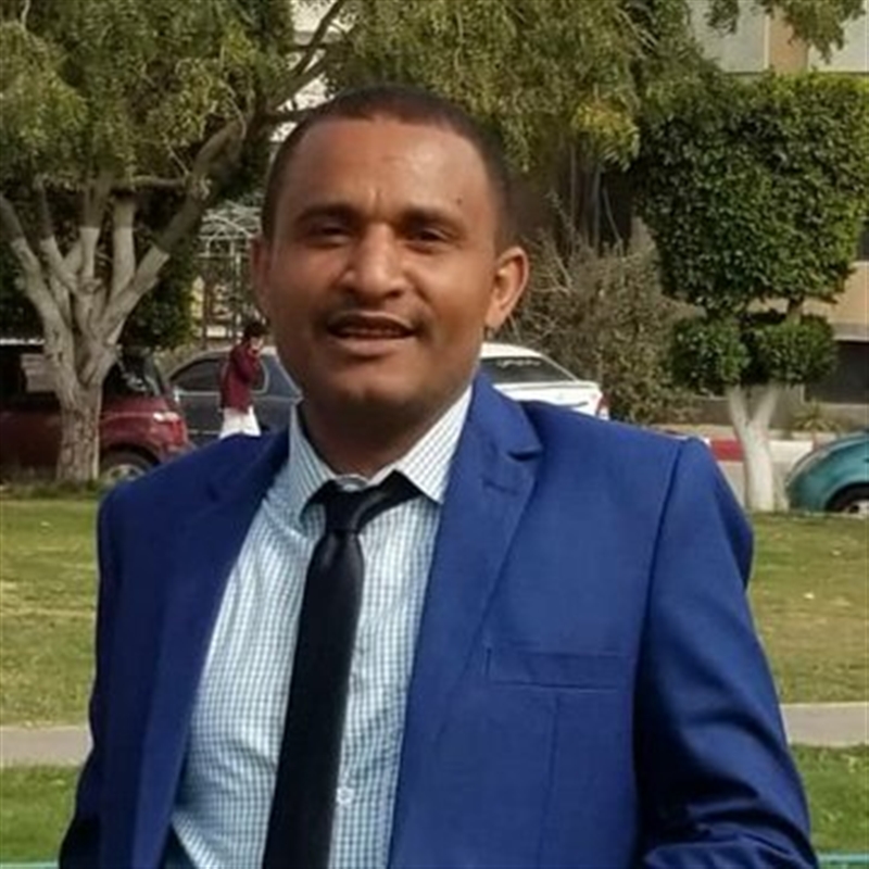 الحوثيون يفرجون عن صحفي بضمانة