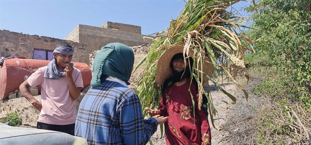 "الوطنية للتحقيق" تستمع لشهادات حول استهدافات حوثية للمدنيين غرب تعز