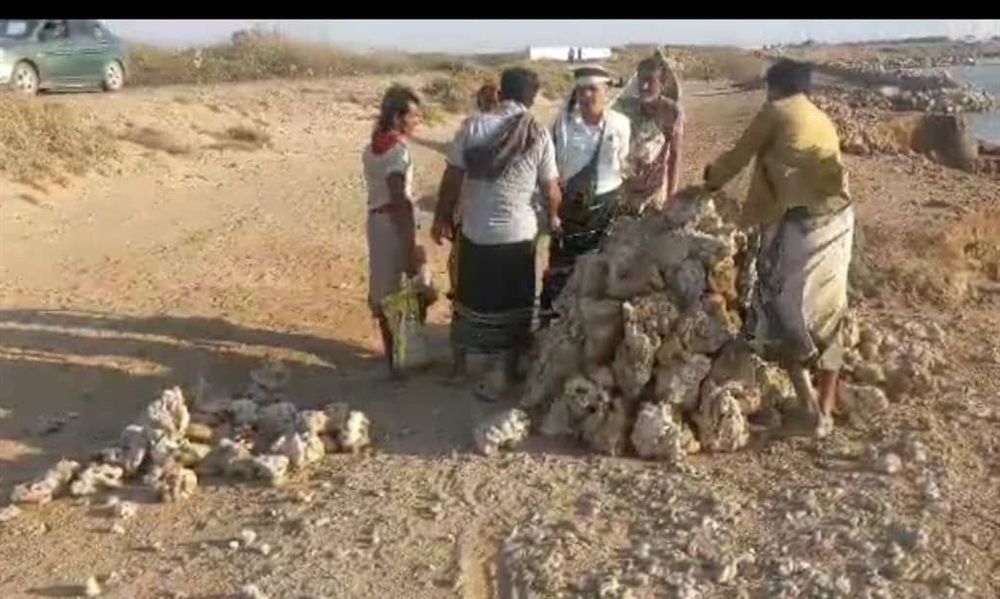 حماية البيئة بالحديدة تشدد على تطبيق قرار منع قلع الشعاب المرجانية