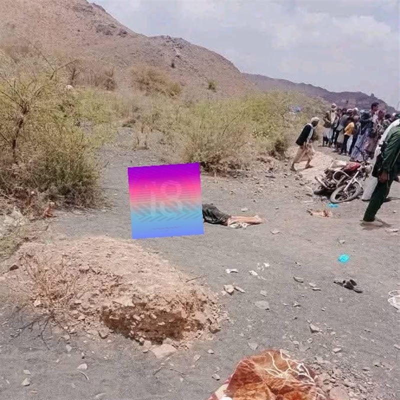 جريمة مروعة في البيضاء… شاب يقتل والده ويقطع رأسه قبل أن يلقى مصرعه