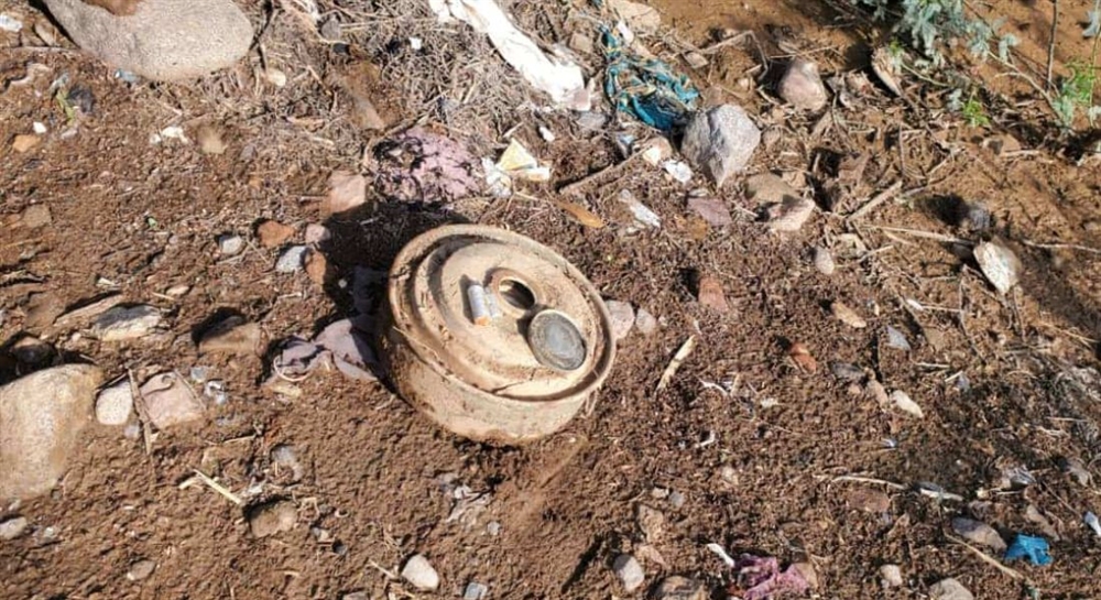 مقتل طفلة ونفوق عدد من الأغنام بانفجار حقل ألغام حوثي في الحديدة