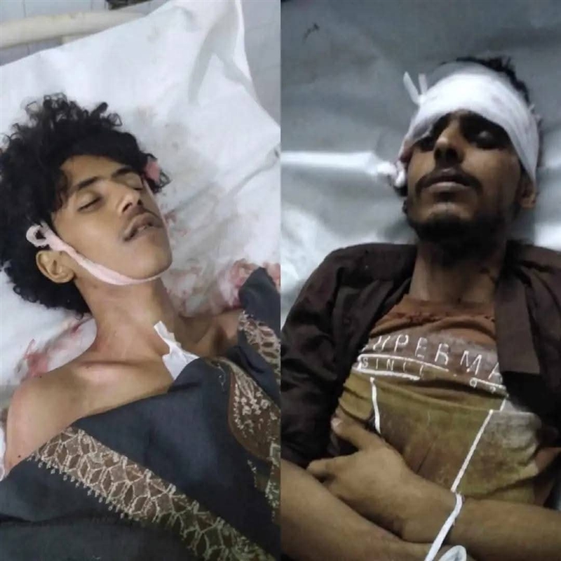 أبين.. خلاف على كيس "قات" يودي بحياة شابين في زنجبار