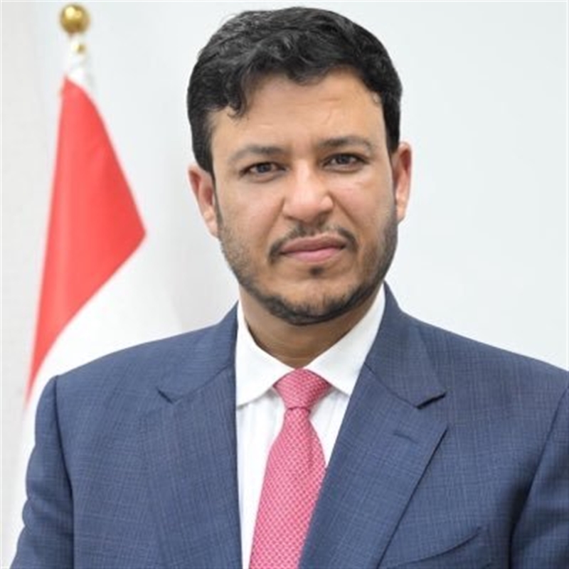 العليمي: معركة باب المندب محطة لاستعادة الدولة وإنهاء الانقلاب الحوثي