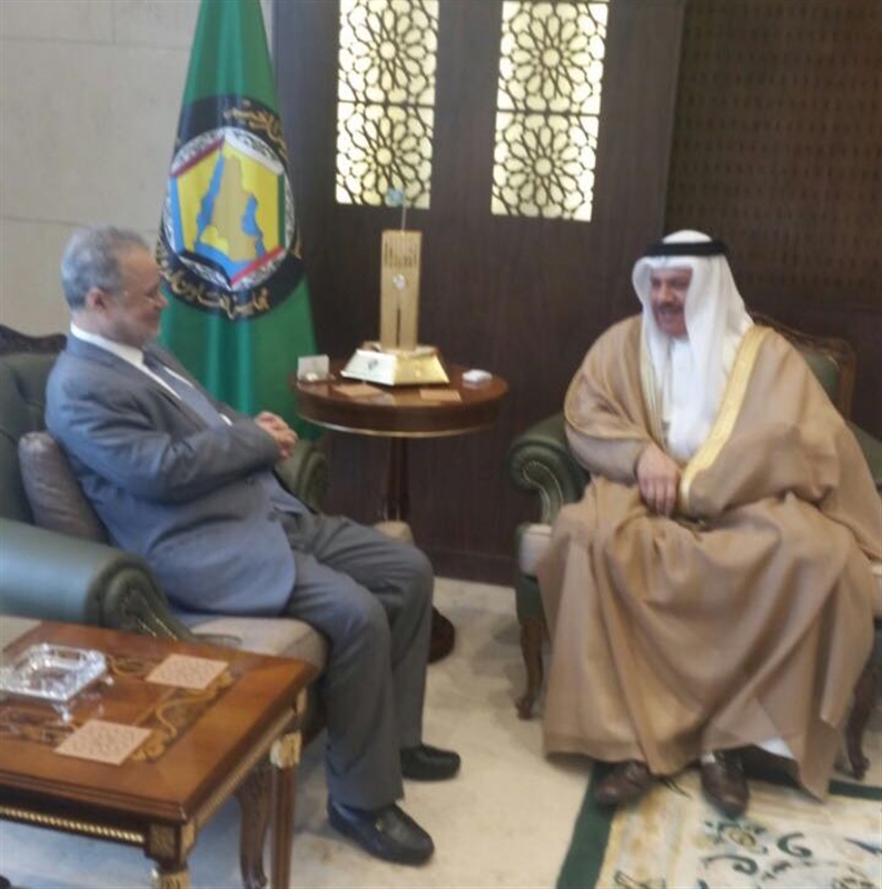 "الزياني" يؤكد دعم مجلس التعاون الخليجي لوحدة اليمن وسلامة أراضيه