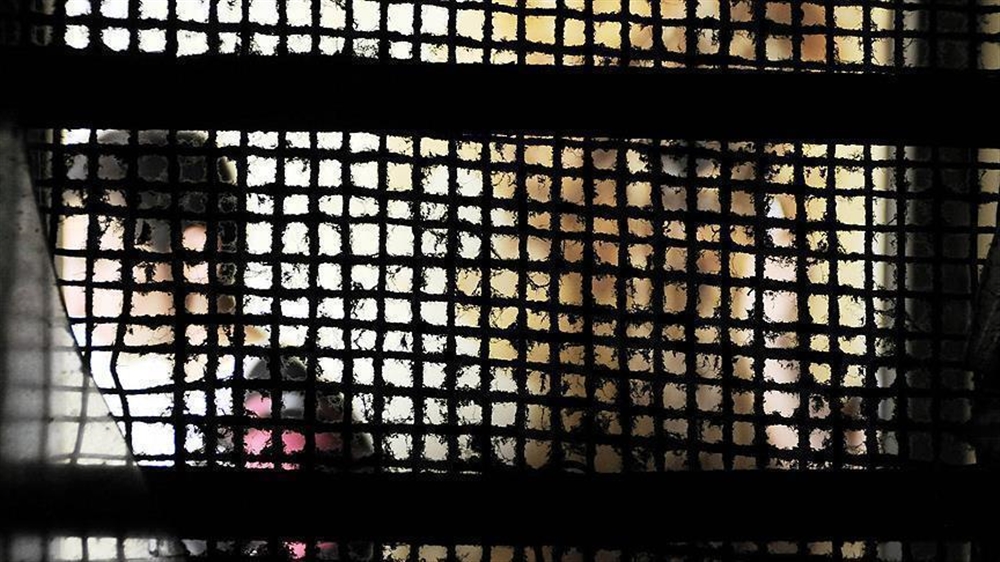 8 كليبات "خادشة" بمصر.. حلم الشهرة ينتهي بكابوس السجن (تقرير)