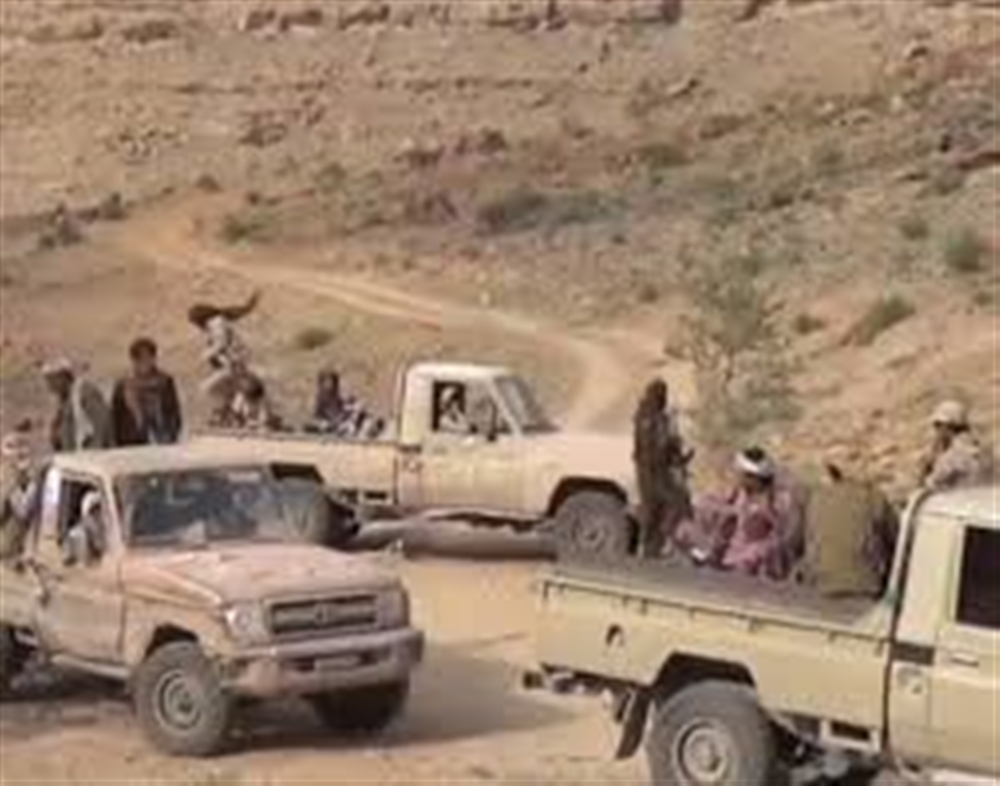 الضالع.. مقتل 20 حوثي في مواجهات مع الجيش