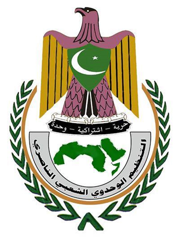 الناصري: تصويب العلاقة مع الإمارات يبدأ بإجراء اصلاحات جوهرية في الرئاسة وتغيير الحكومة