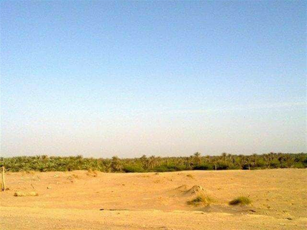 قوات الجيش الوطني تسيطر على مواقع جديدة في الحديدة