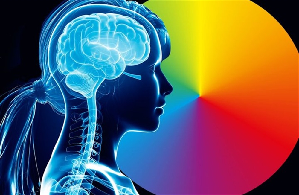 عزز قوة عقلك عبر تناول هذه الأطعمة