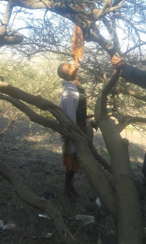 العثور على مواطن في "إب" مشنوقا على شجرة