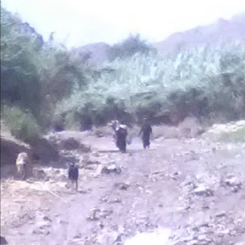 الضالع: نزوح جماعي ومعارك مستمرة