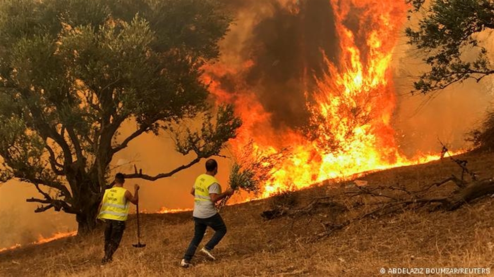 الجزائر تعلن السيطرة على معظم الحرائق وحصيلة القتلى ترتفع إلى 71 شخصا