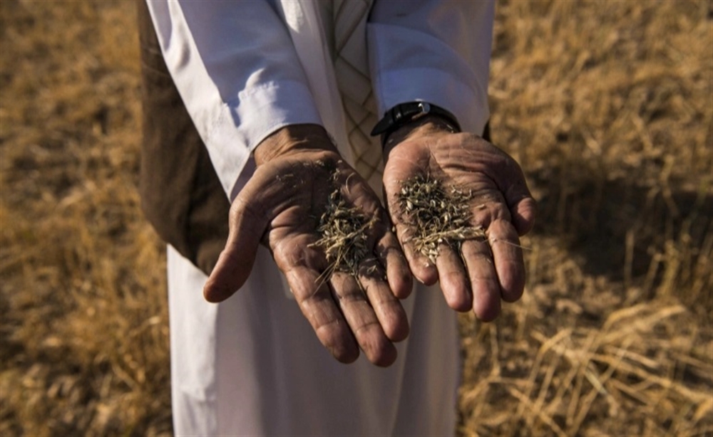 "طالبان" استغلت "التغير المناخي" للسيطرة على أفغانستان.. كيف حدث ذلك؟