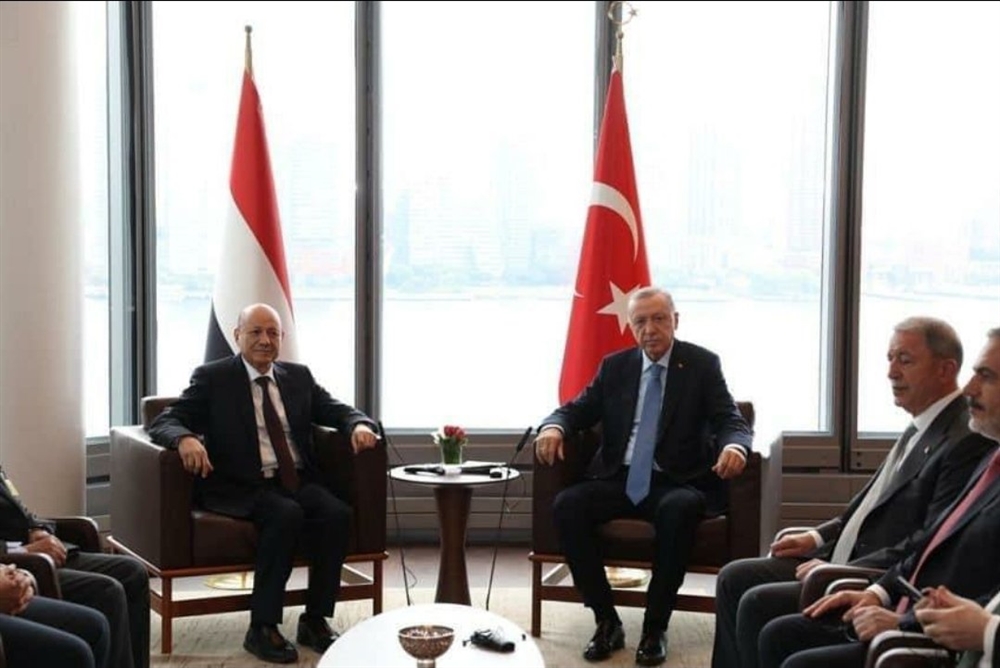 العليمي يبحث مع أردوغان فرص إحلال السلام