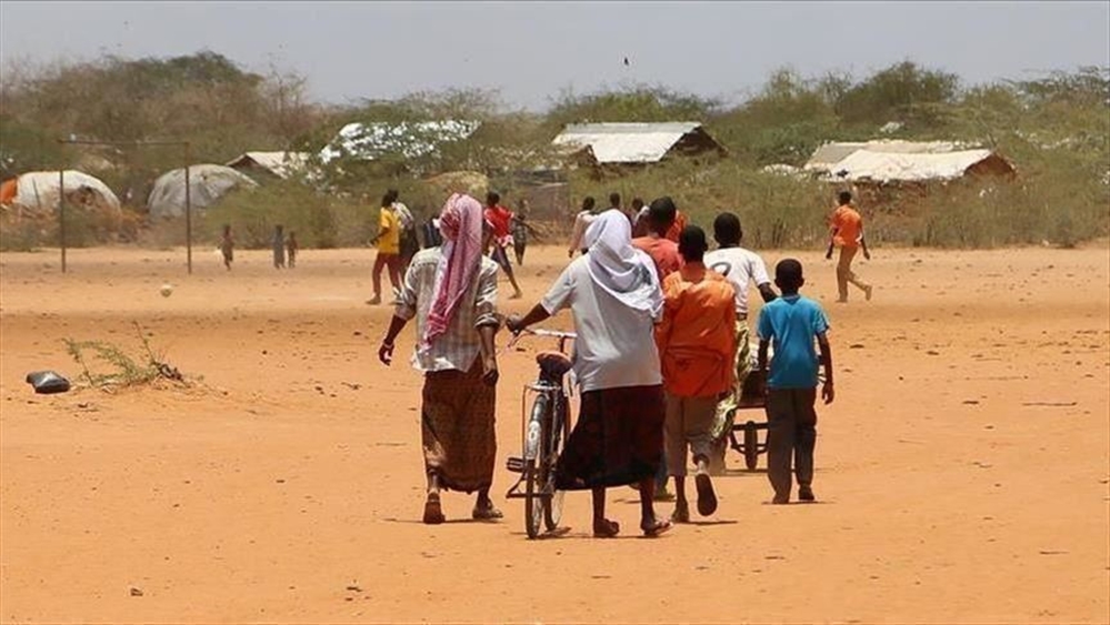 الهجرة الدولية تعلن نزوح 34 أسرة خلال الأسبوع الفائت