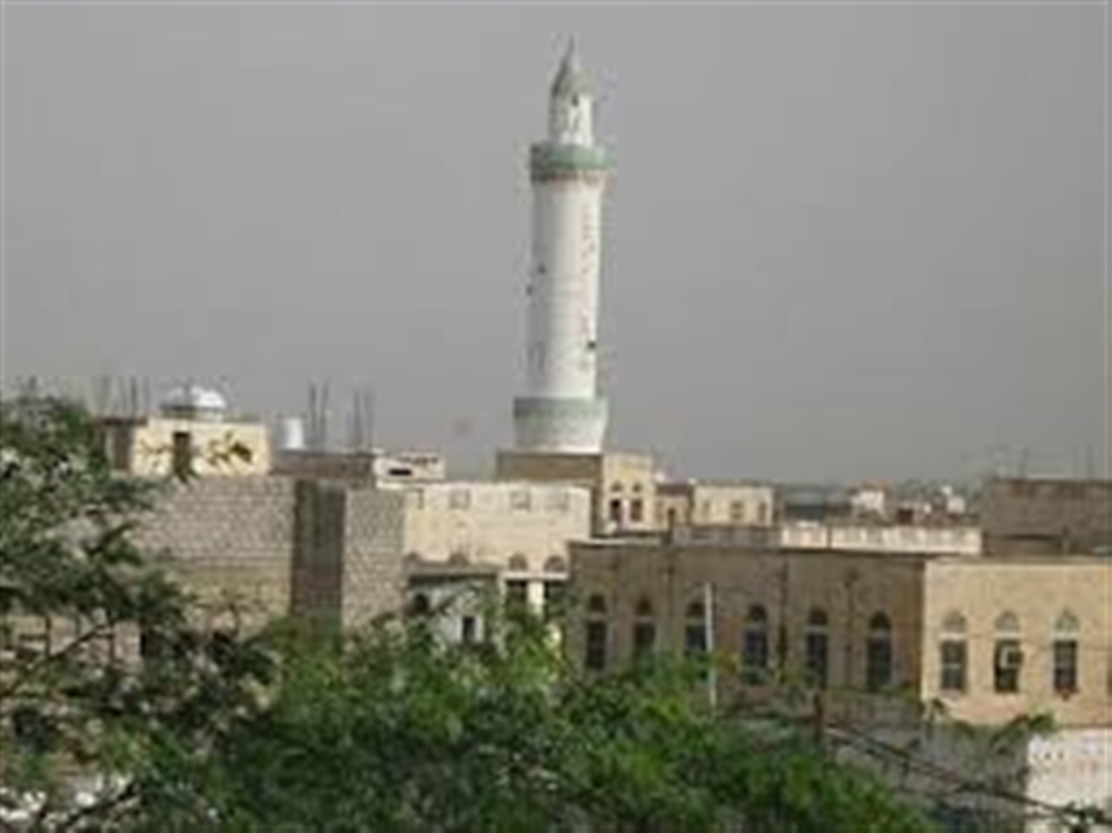 مليشيا الحوثي تهاجم سوق شعبي شرق بيت الفقيه في الحديدة