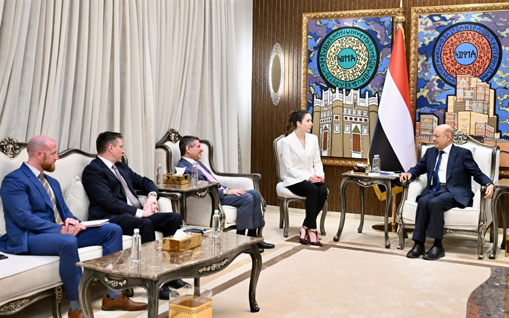 العليمي يحذر من تنسيق حوثي مع شبكات إرهابية في القرن الإفريقي