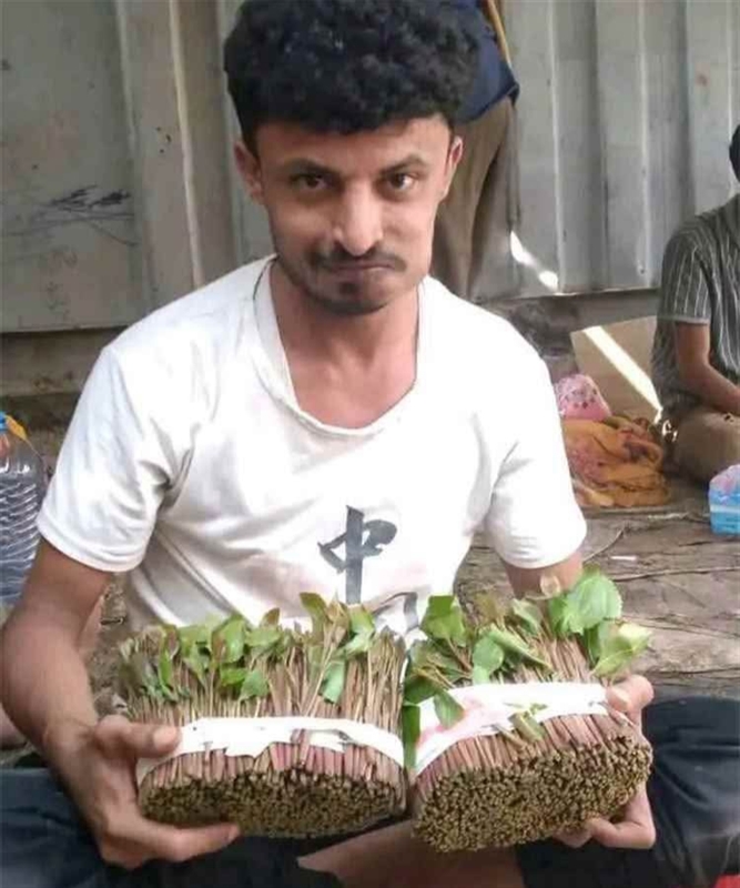 إصابة بائع قات بسلاح أبيض إثر خلاف مع أحد الزبائن في عدن