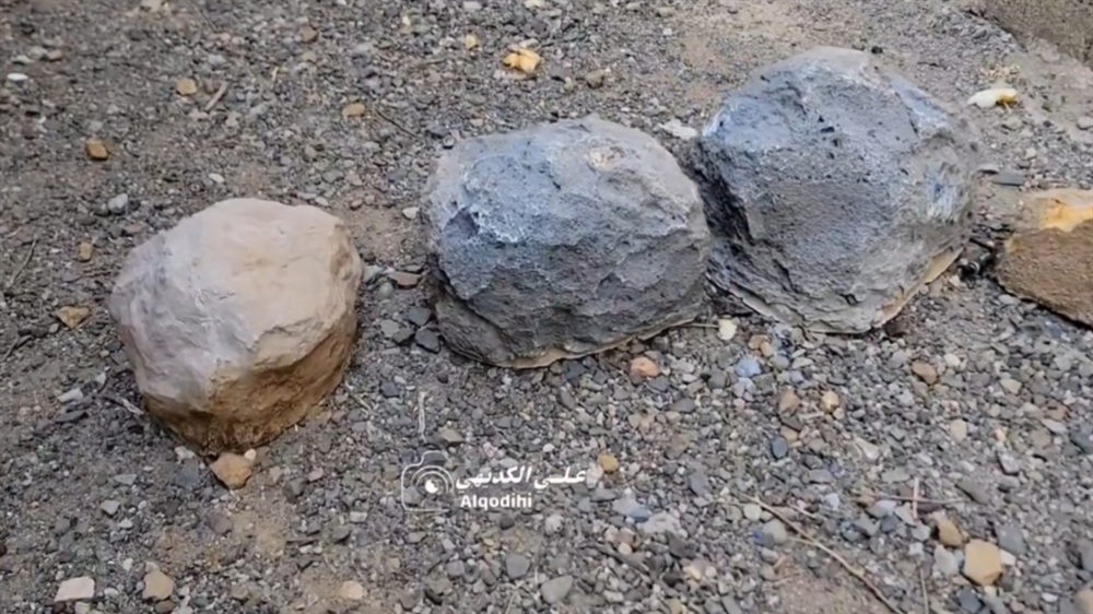 تعز.. نفوق أغنام بانفجار عبوة حوثية والعثور على عبوات ناسفة مموهة في مقبنة